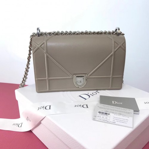 Dior Bag 022